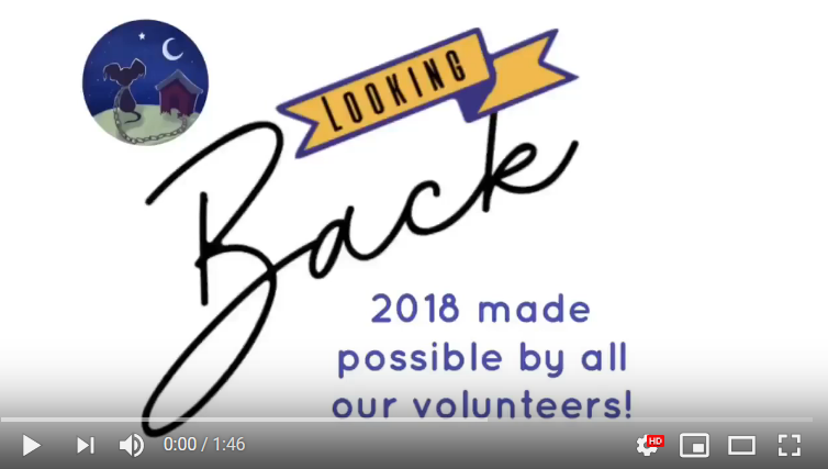 Thanks for a great 2018 – check out our year in review video!