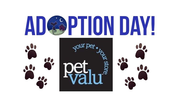 Adoption Day • Pet Valu Madison