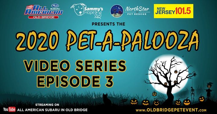 2020 Pet-A-Palooza Adoption Video Series Episode 3