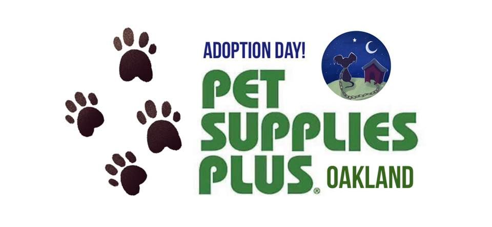 Adoption Day • Pet Supplies Plus