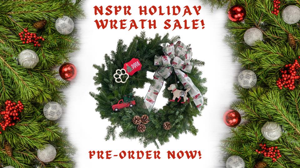 NorthStar Annual Holiday Wreath Sale