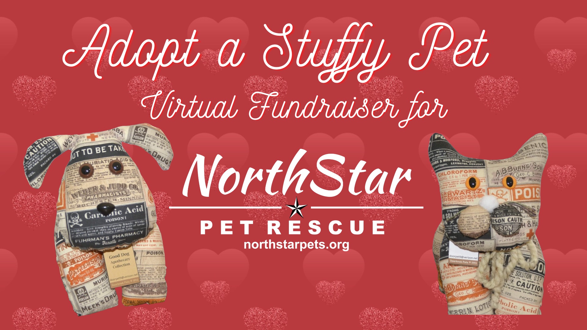 Adopt a Stuffy Pet Virtual Fundraiser