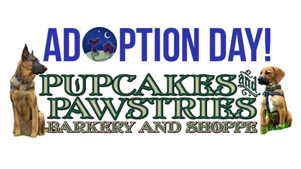 Adoption Day at Pupcakes & Pawstries!