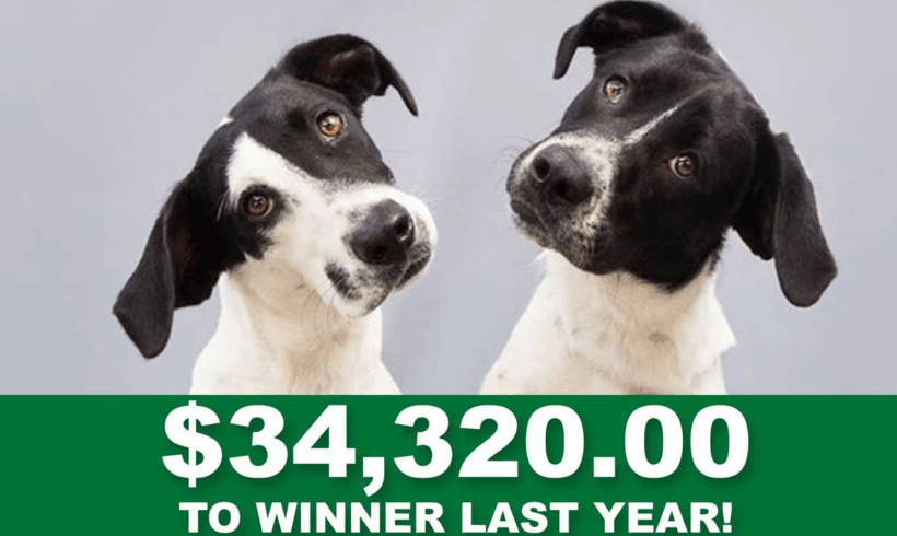 2025 Super 50/50 Raffle