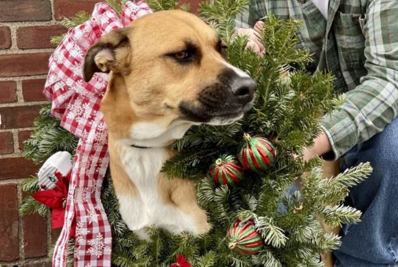 2025 Annual Wreath Sale