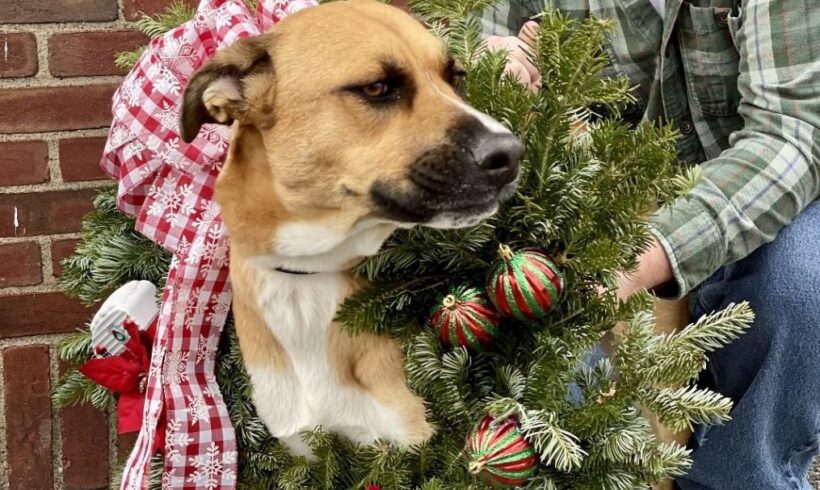 2025 Annual Wreath Sale