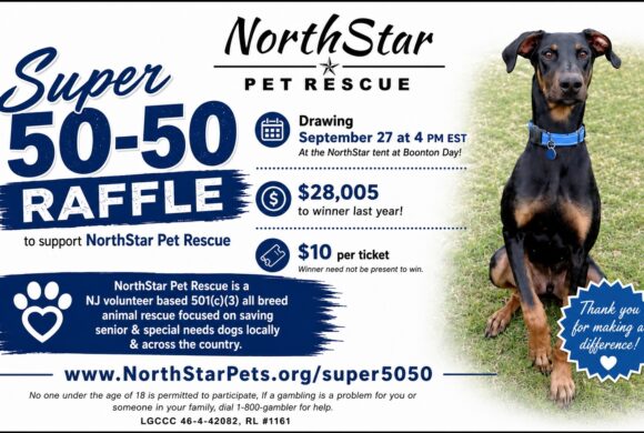 2026 Super 50/50 Raffle 2026 Super 50/50 Raffle